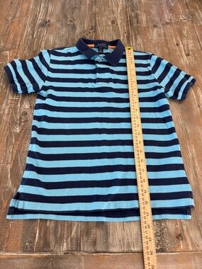 Polo by Ralph Lauren Light Blue and Navy Striped Polo
